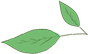 20231229.jpg